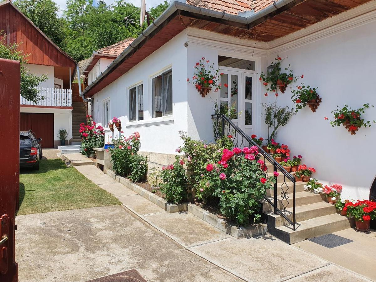 Rozsa Panzio Bed & Breakfast ริเมแท ภายนอก รูปภาพ
