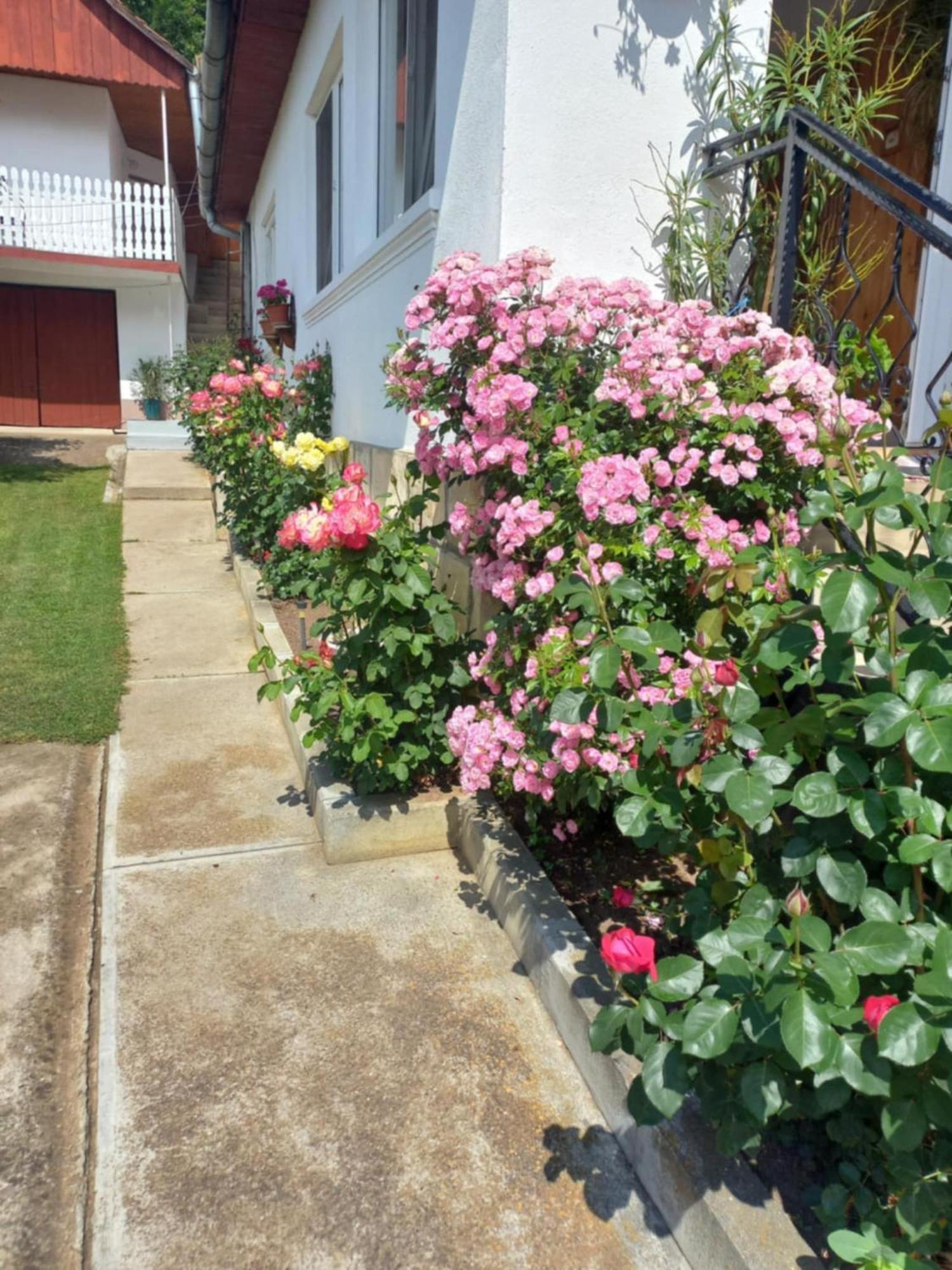 Rozsa Panzio Bed & Breakfast ริเมแท ภายนอก รูปภาพ